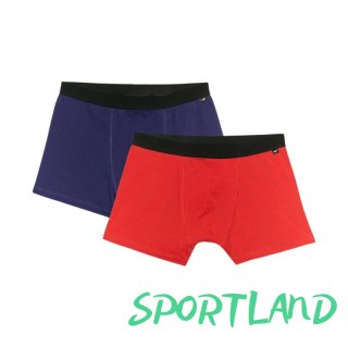 Bokserki 4F M059 2-pak M 4FWMM00UBXSM059 91S 2 XL