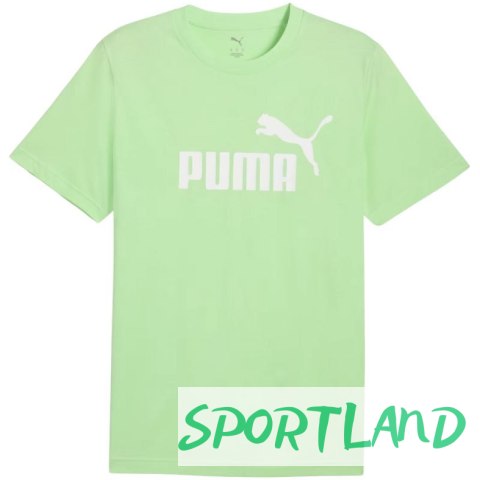 Koszulka Puma Ess No.1 Logo Tee (s) M 682533 49 M Koszulka Puma Ess No.1 Logo Tee (s) M 682533 49 M