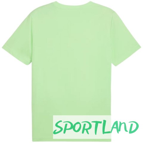 Koszulka Puma Ess No.1 Logo Tee (s) M 682533 49 M Koszulka Puma Ess No.1 Logo Tee (s) M 682533 49 M