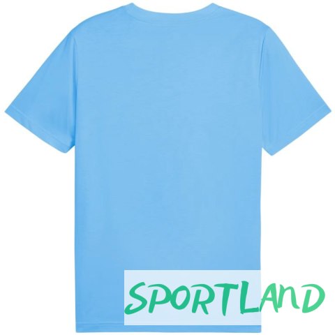 Koszulka Puma Ess No.1 Logo Tee (s) M 682533 57 M Koszulka Puma Ess No.1 Logo Tee (s) M 682533 57 M