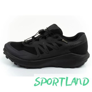 Buty do biegania Salomon Alpharide M 475086 43