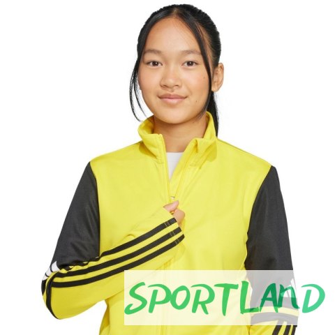 Bluza adidas Squadra 25 Training Jr JP3395 140 cm Bluza adidas Squadra 25 Training Jr JP3395 140 cm