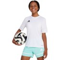 Koszulka adidas Squadra 25 Jr JJ0058 152cm