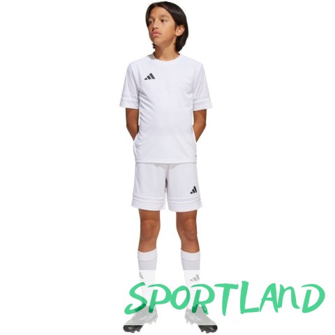 Spodenki adidas Squadra 25 Jr JJ2423 128 cm Spodenki adidas Squadra 25 Jr JJ2423 128 cm
