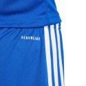 Spodenki adidas Squadra 25 Jr JN5455 128 cm
