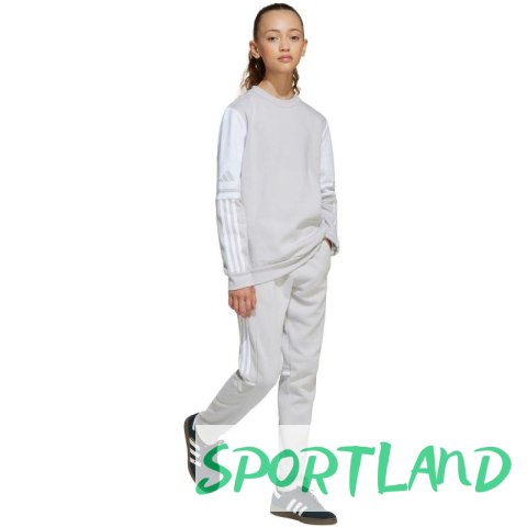 Spodnie adidas Squadra 25 Sweat Jr JD4823 164 cm