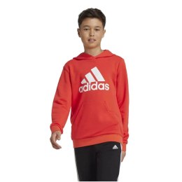 Bluza adidas Big Logo Hoodie Jr IX9531 152