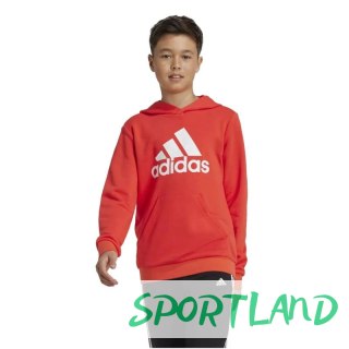 Bluza adidas Big Logo Hoodie Jr IX9531 152