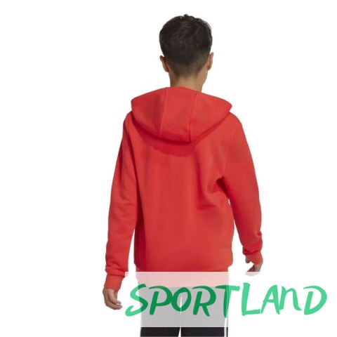 Bluza adidas Big Logo Hoodie Jr IX9531 152 Bluza adidas Big Logo Hoodie Jr IX9531 152