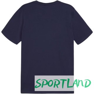 Koszulka Puma Team Goal Casuals Tee M 658615 06 L