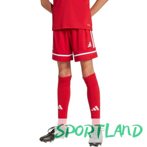Spodenki adidas Squadra 25 Jr JN5456 116 Spodenki adidas Squadra 25 Jr JN5456 116
