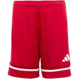 Spodenki adidas Squadra 25 Jr JN5456 128
