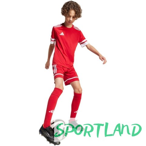 Spodenki adidas Squadra 25 Jr JN5456 128 Spodenki adidas Squadra 25 Jr JN5456 128
