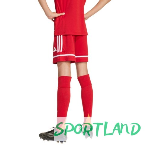 Spodenki adidas Squadra 25 Jr JN5456 152 Spodenki adidas Squadra 25 Jr JN5456 152