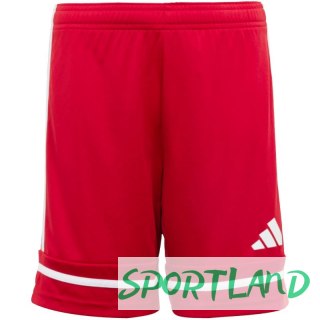 Spodenki adidas Squadra 25 Jr JN5456 164