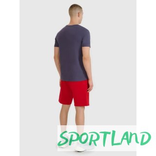 Spodenki 4F M 4FWMM00TSHOM543-62S 2XL