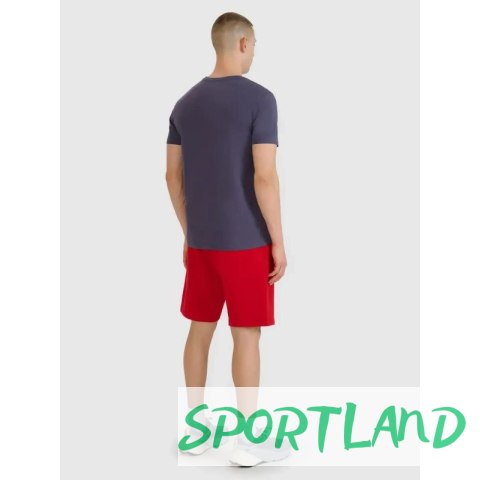 Spodenki 4F M 4FWMM00TSHOM543-62S M Spodenki 4F M 4FWMM00TSHOM543-62S M