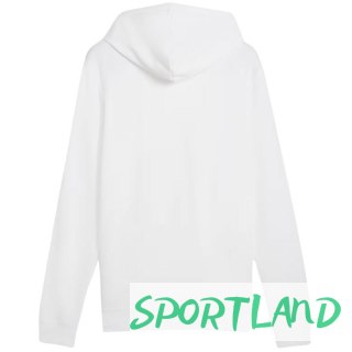Bluza Puma Ess 2 Color Small No.1 Logo Hoodie TR M 684719 02 L