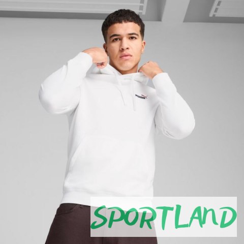 Bluza Puma Ess 2 Color Small No.1 Logo Hoodie TR M 684719 02 L Bluza Puma Ess 2 Color Small No.1 Logo Hoodie TR M 684719 02 L