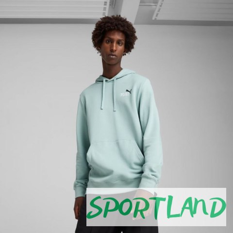 Bluza Puma Ess 2 Color Small No.1 Logo Hoodie TR M 684719 67 L Bluza Puma Ess 2 Color Small No.1 Logo Hoodie TR M 684719 67 L