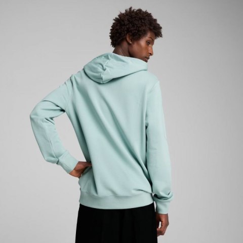 Bluza Puma Ess 2 Color Small No.1 Logo Hoodie TR M 684719 67 M Bluza Puma Ess 2 Color Small No.1 Logo Hoodie TR M 684719 67 M