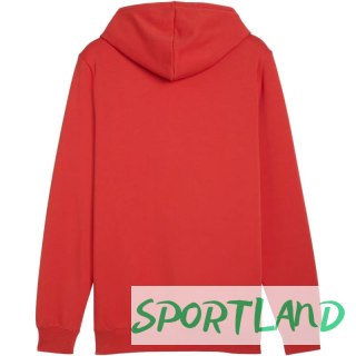 Bluza Puma Ess Logo Lab Hoodie FL M 684669 15 M