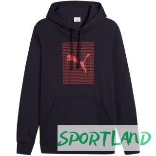 Bluza Puma Ess Logo Lab Hoodie FL M 684669 16 M