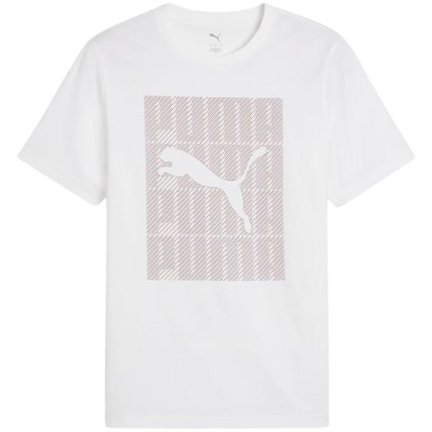 Koszulka Puma Graphics Wording Tee M 684825 02 M