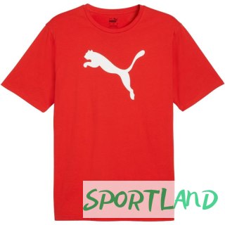 Koszulka Puma Team Rise Logo Jersey Cotton M 658705 01 M