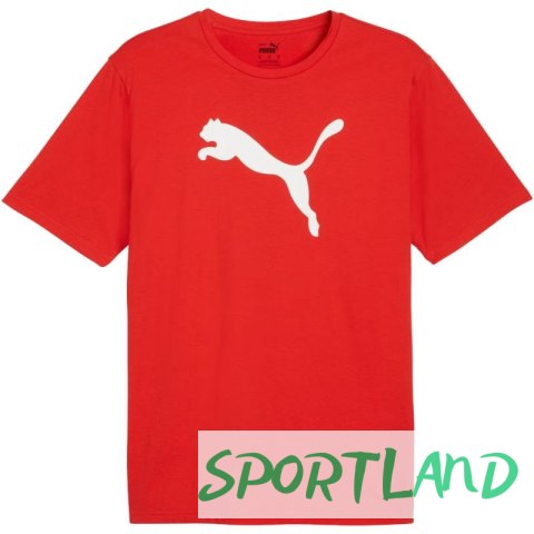 Koszulka Puma Team Rise Logo Jersey Cotton M 658705 01 M Koszulka Puma Team Rise Logo Jersey Cotton M 658705 01 M
