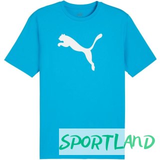 Koszulka Puma Team Rise Logo Jersey Cotton M 658705 02 M