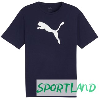 Koszulka Puma Team Rise Logo Jersey Cotton M 658705 06 M