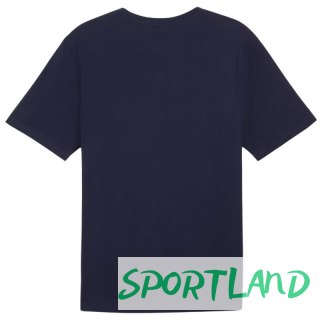 Koszulka Puma Team Rise Logo Jersey Cotton M 658705 06 M