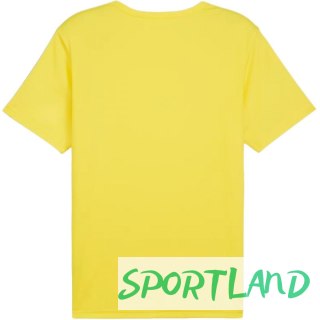 Koszulka Puma teamRISE Matchday Jersey M 706132 07 L