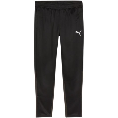Spodnie Puma Team Goal Training M 658639 03 L