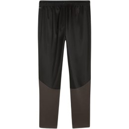 Spodnie Puma Team Goal Training M 658639 03 L