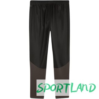 Spodnie Puma Team Goal Training M 658639 03 M
