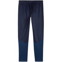 Spodnie Puma Team Goal Training M 658639 06 L