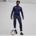 Spodnie Puma Team Goal Training M 658639 06 L
