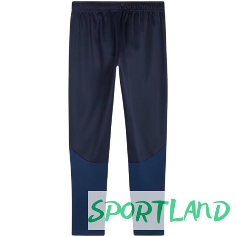 Spodnie Puma Team Goal Training M 658639 06 XL Spodnie Puma Team Goal Training M 658639 06 XL