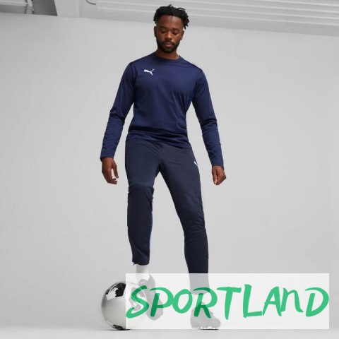 Spodnie Puma Team Goal Training M 658639 06 XL Spodnie Puma Team Goal Training M 658639 06 XL