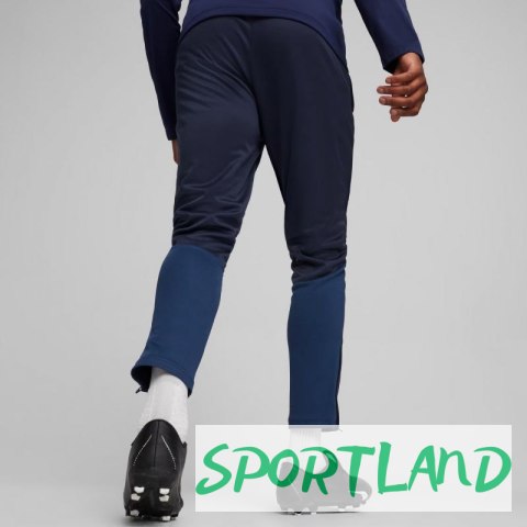 Spodnie Puma Team Goal Training M 658639 06 S Spodnie Puma Team Goal Training M 658639 06 S