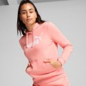 Bluza Puma ESS No.1 Logo Hoodie W 682391 18 L