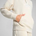 Bluza Puma Ess Script Comfort Hoodie W 684983 87 L
