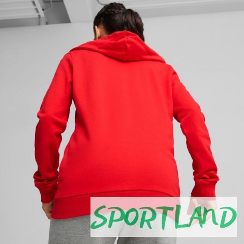 Bluza Puma Team Goal Casuals Hoody W 658621 01 L Bluza Puma Team Goal Casuals Hoody W 658621 01 L