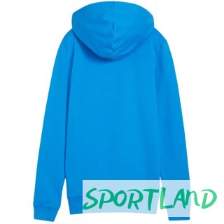 Bluza Puma Team Goal Casuals Hoody W 658621 02 M