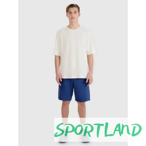 Spodenki 4F M 4FWMM00TSHOM543-031S XL
