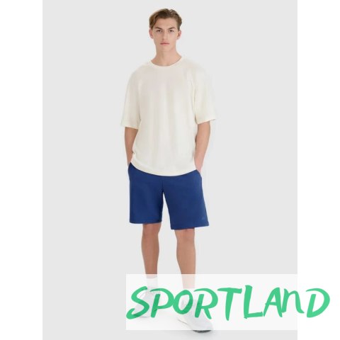 Spodenki 4F M 4FWMM00TSHOM543-031S L Spodenki 4F M 4FWMM00TSHOM543-031S L