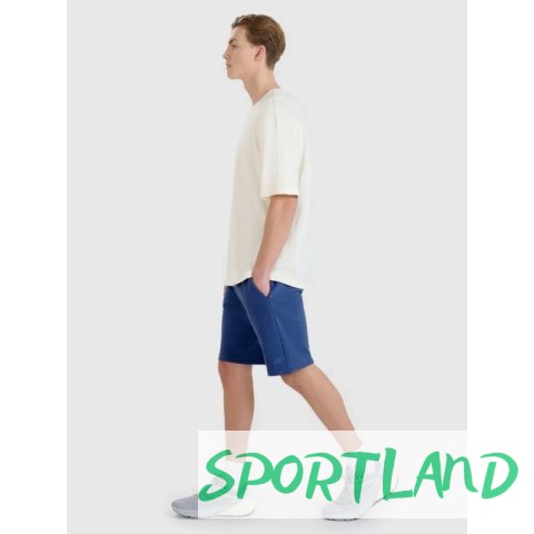 Spodenki 4F M 4FWMM00TSHOM543-031S L Spodenki 4F M 4FWMM00TSHOM543-031S L