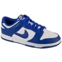Buty Nike Dunk Low Retro M DV0833-103 44